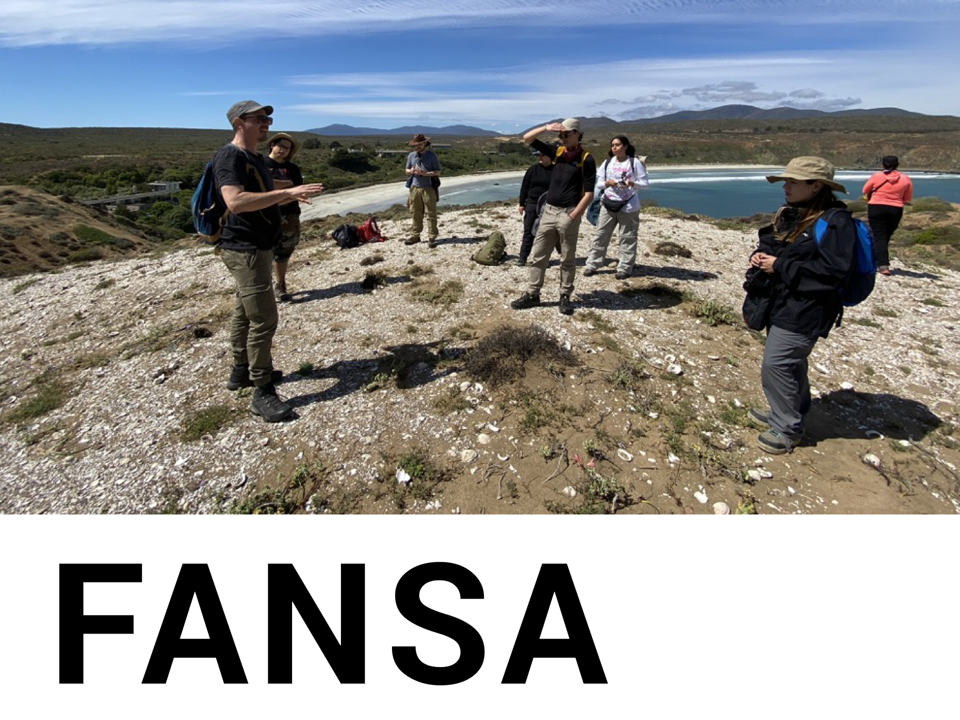 fansa