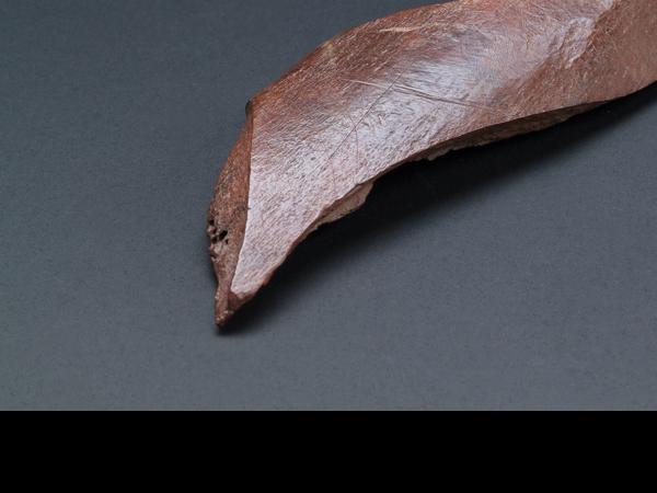 Artefacto óseo aguzado equus sp.