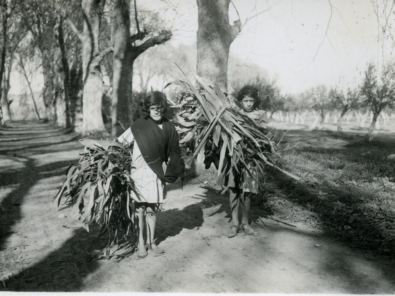 Niñas cargando ramas en el parque de la Compañía Alta
