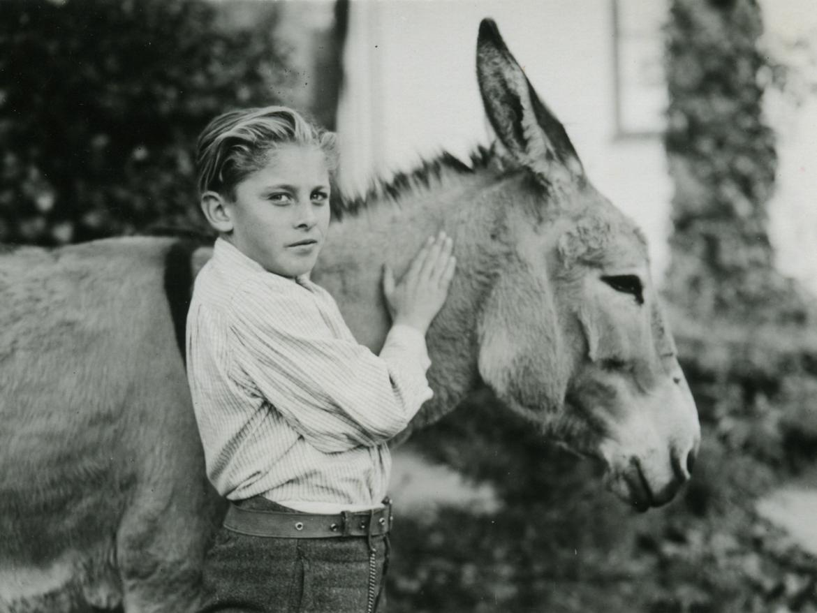 Niño acariciando un burro
