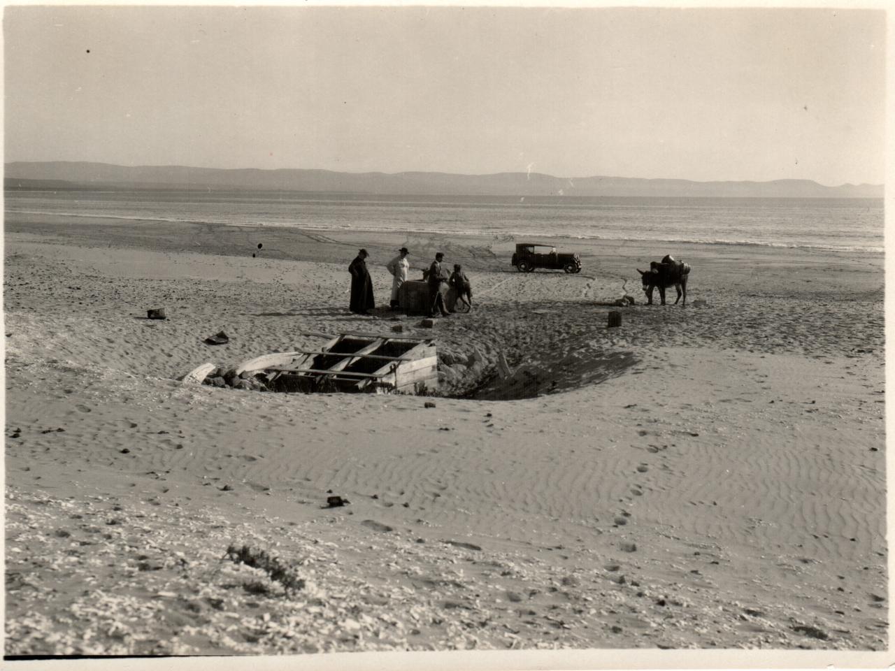 Postura con burros en la playa de Tongoy