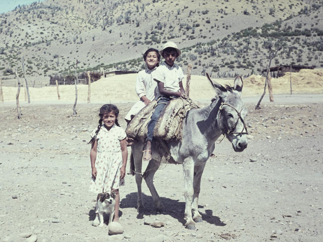 Niñas y niño campesino