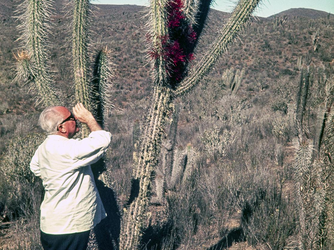 Pablo Diehl mirando la flor del quintral