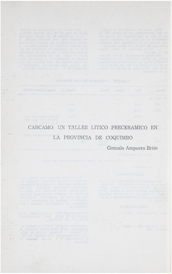 Cárcamo, un taller lítico precerámico en la provincia de Coquimbo