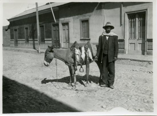 Un vendedor de pescado en La Serena
