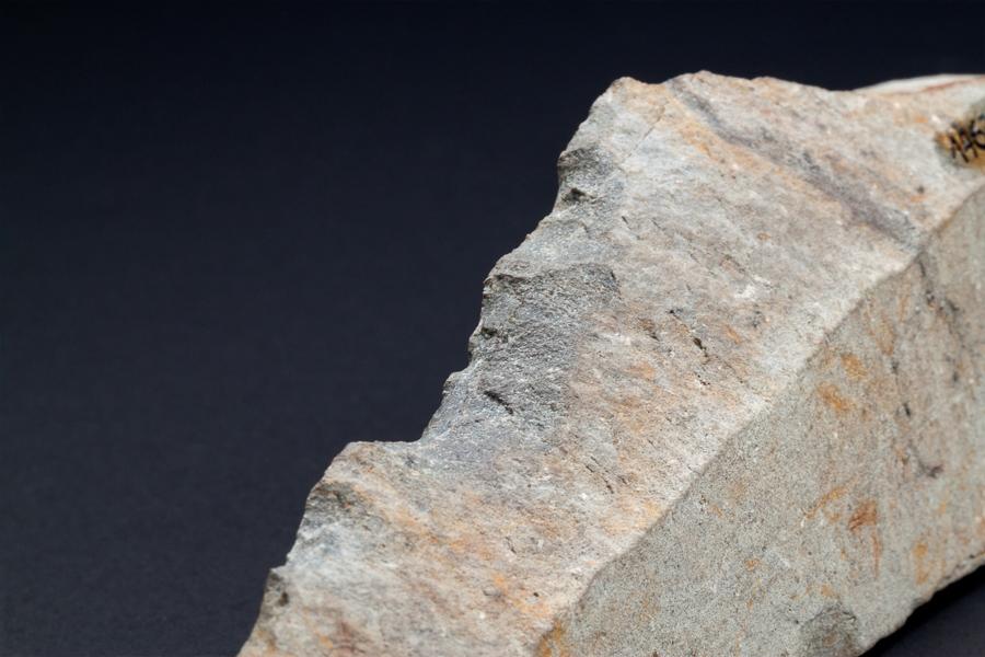 Artefacto lítico laminar con muesca centro lateral por acción del raspado