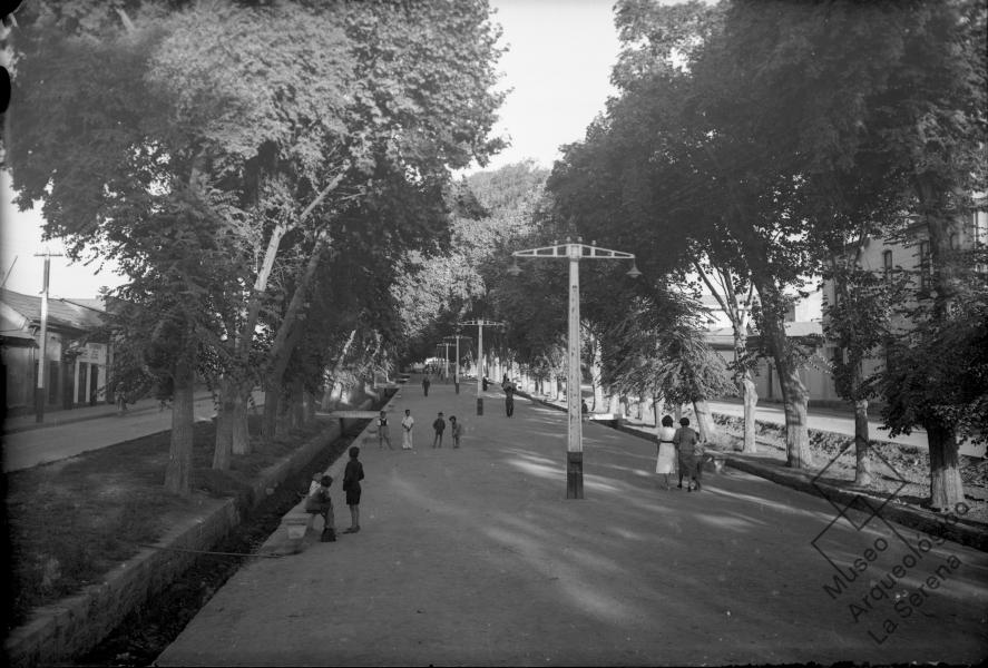 La Alameda, desde calle Los Carrera hacia el poniente La Alameda, desde calle Los Carrera hacia el poniente