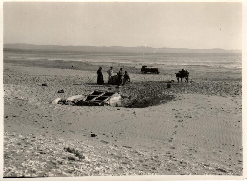 Postura con burros en la playa de Tongoy