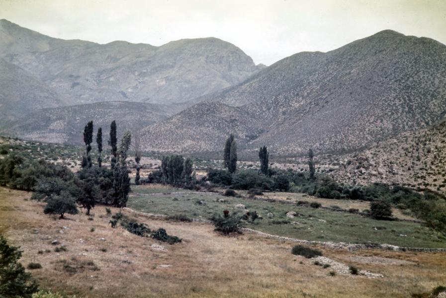 Majada y cultivos en el sector El Bato