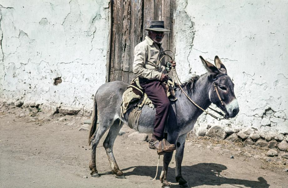 Hombre andando en burro