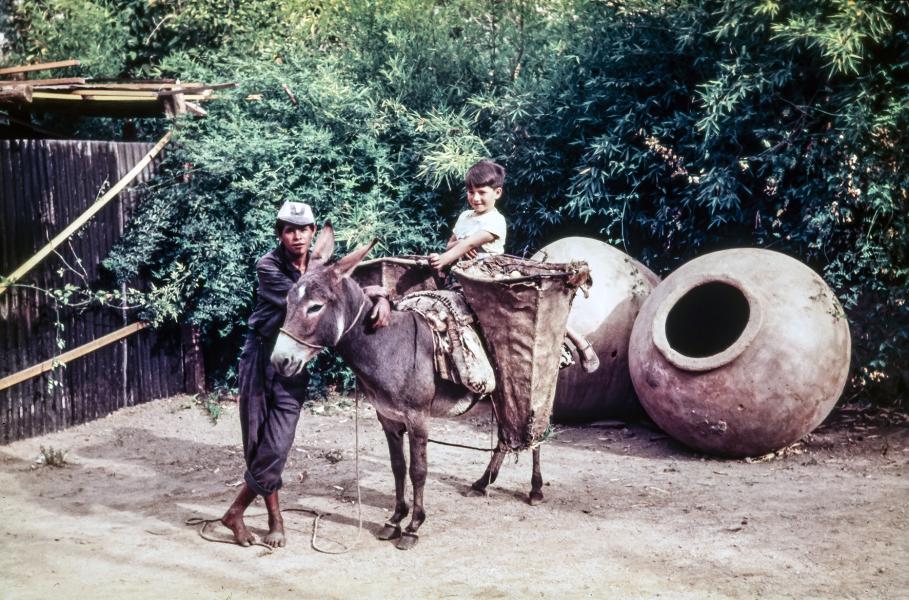 Joven junto a su burro con árguenas